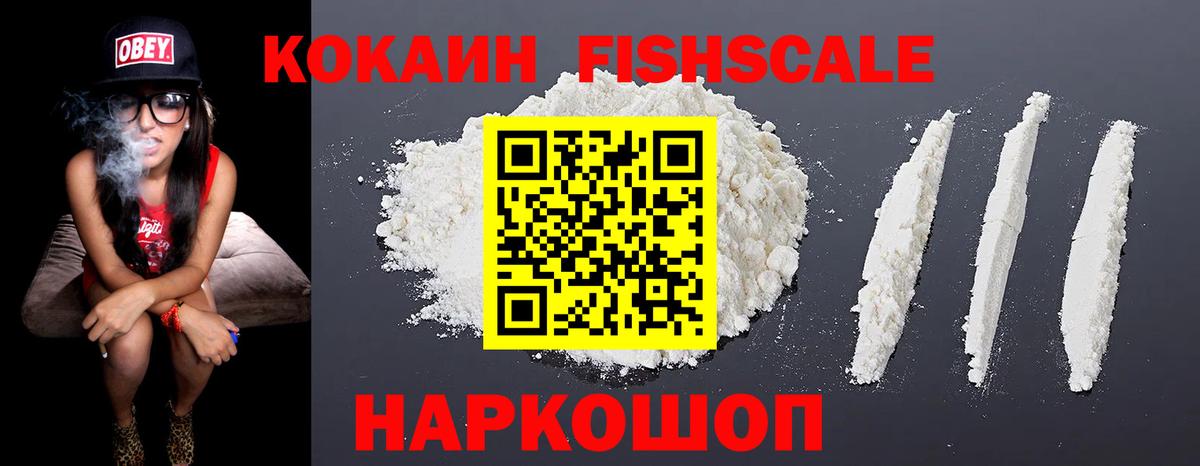 МЕФ Тамбов