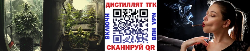 где найти наркотики  Тамбов  Дистиллят ТГК концентрат 