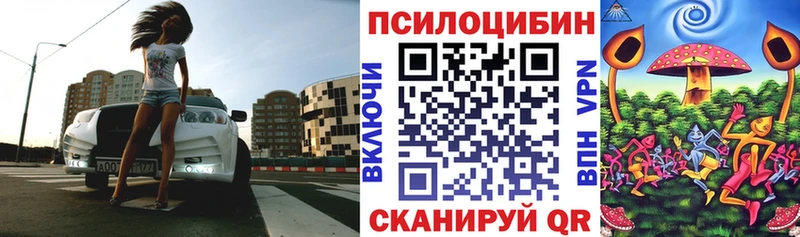 hydra ТОР  купить наркотики сайты  Тамбов  Галлюциногенные грибы Cubensis 