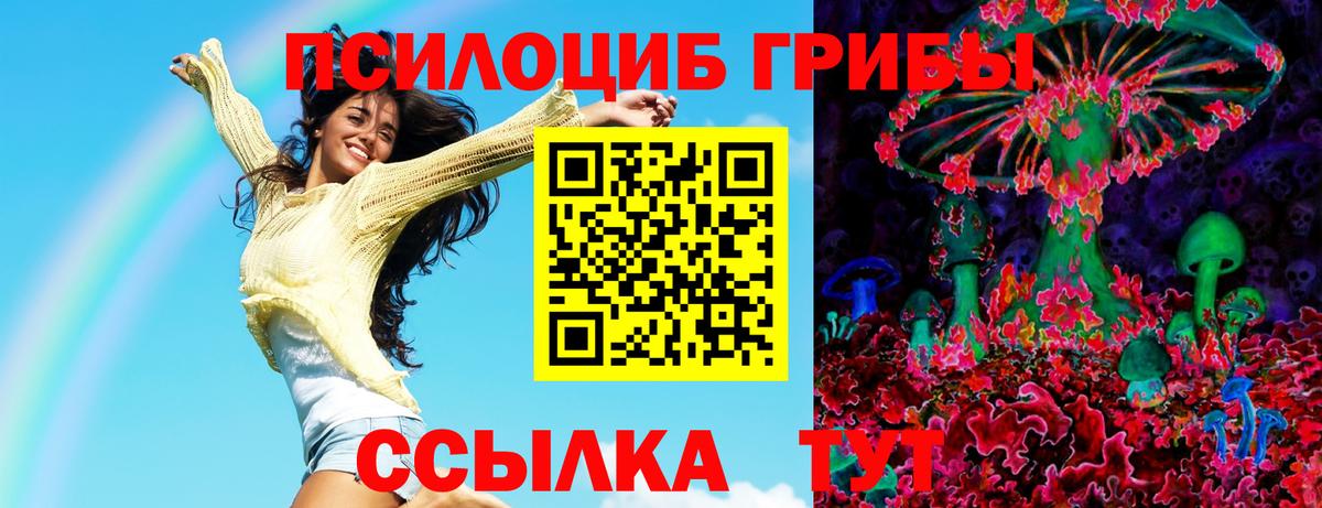 Псилоцибиновые грибы GOLDEN TEACHER  Вход с VPN  Тамбов 