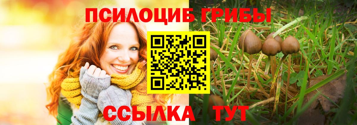 Псилоцибиновые грибы MAGIC MUSHROOMS Тамбов